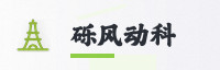 合作伙伴
